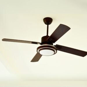 Ceiling Fan